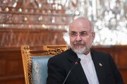 ガリーバーフ：IAEA査察官の爆撃された施設へのアクセスは虚偽