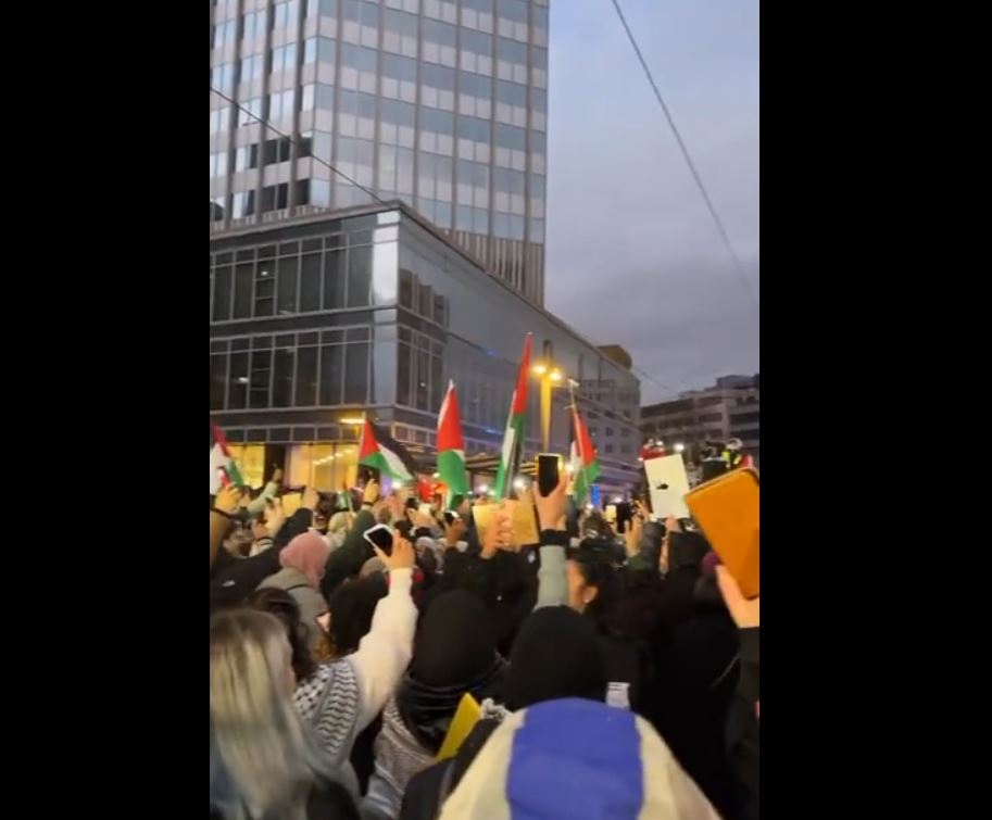Video: A minute of silence for souls of Gaza martyrs in Frankfurt, Germany