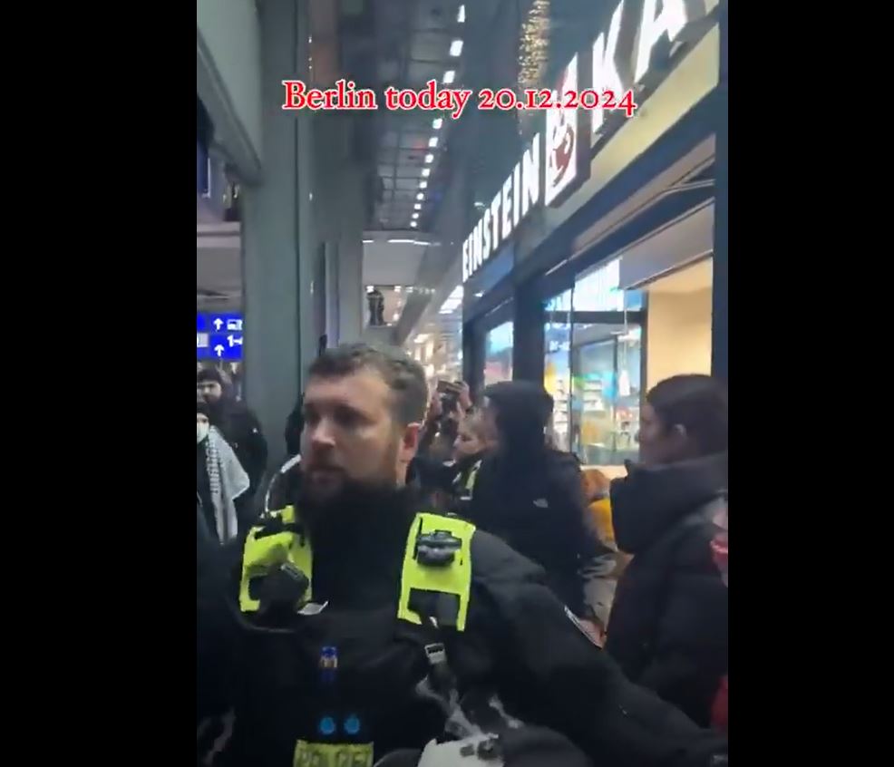 Video: German police assault pro-Palestine protesters gathered in Berlin central train station 