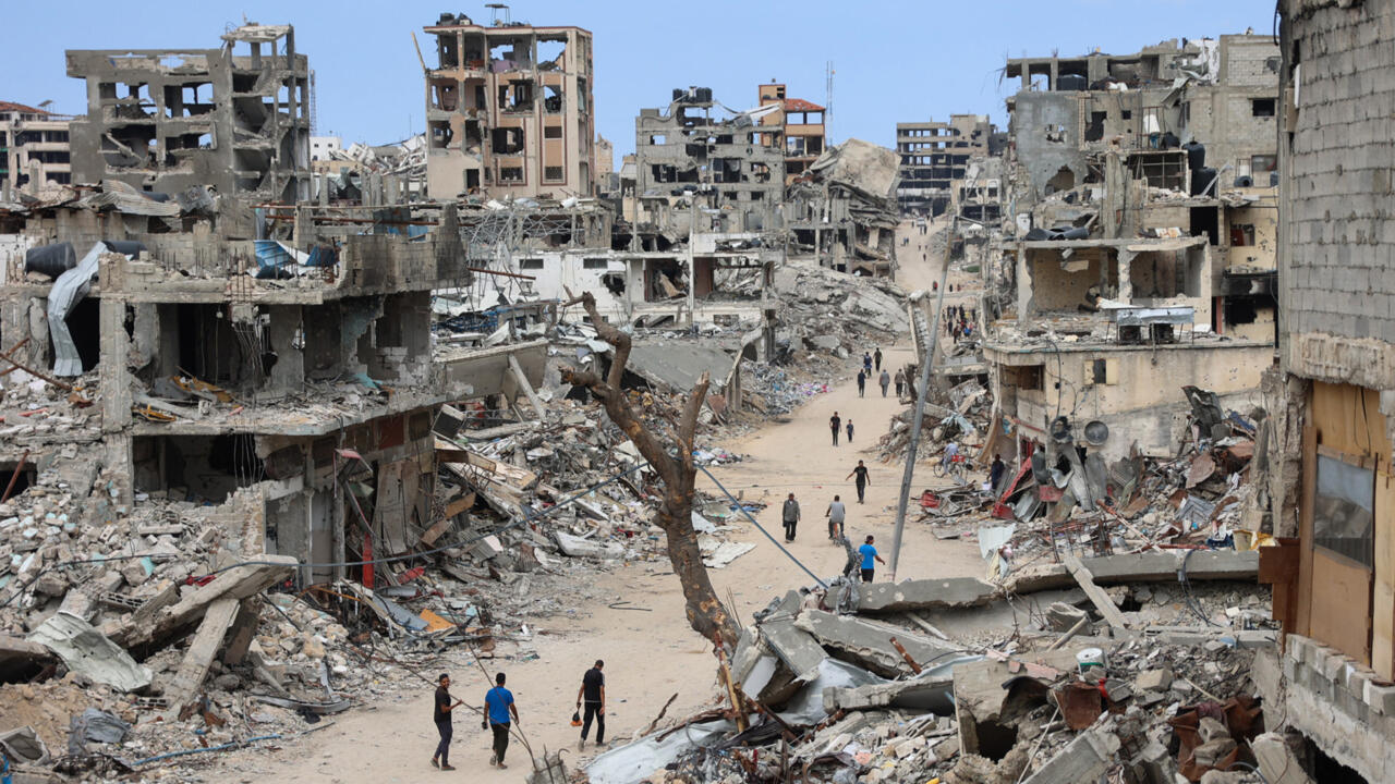 Doctors Without Borders: Israel committing 'genocide' in Gaza