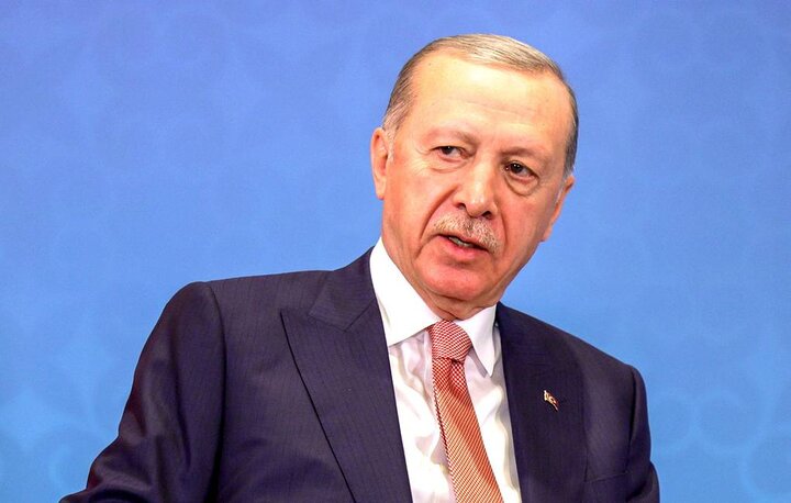 Erdogan warns that Turkiye may enter Israel