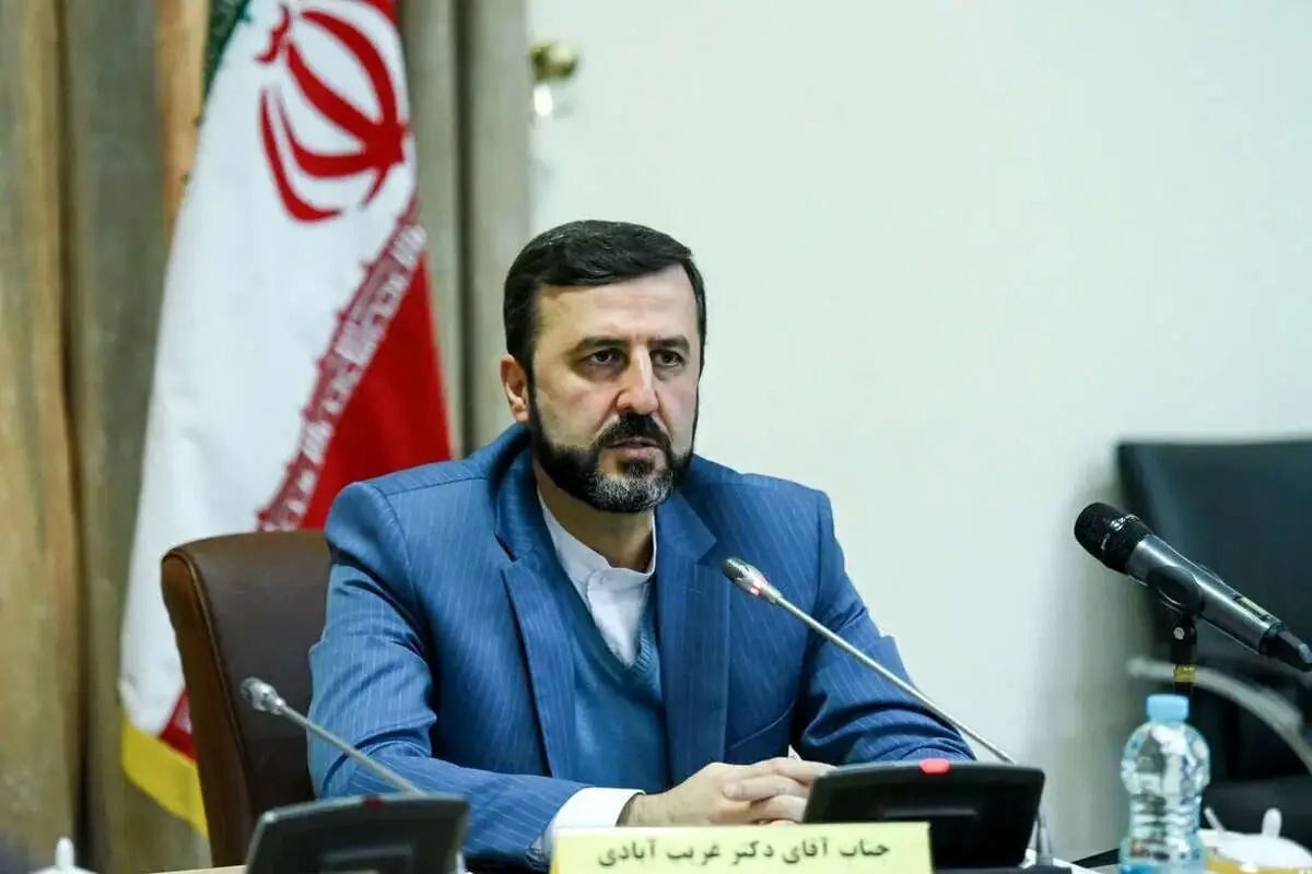  Iranian official assesses summit of Arab and Islamic nations in Riyadh