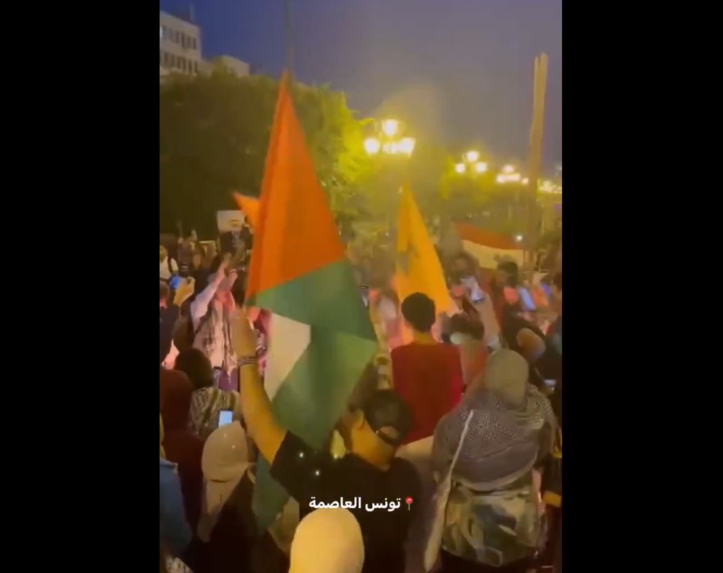 Video: Protests rally in Tunisia in solidarity with Palestine and Lebanon