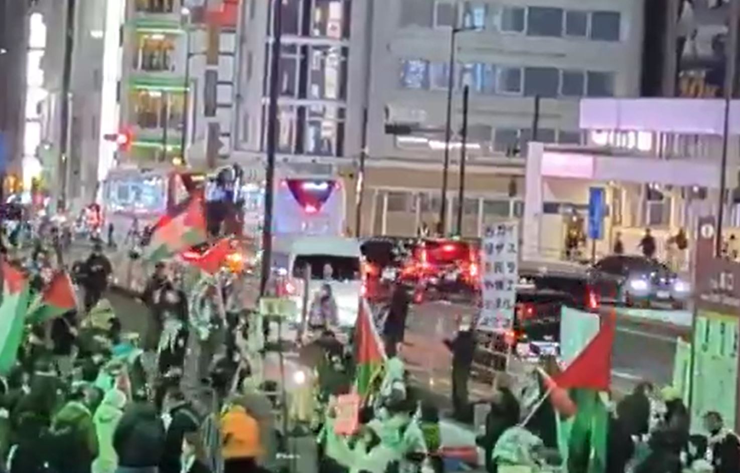 Video: International Day of Solidarity with the Palestine in Tokyo, Japan