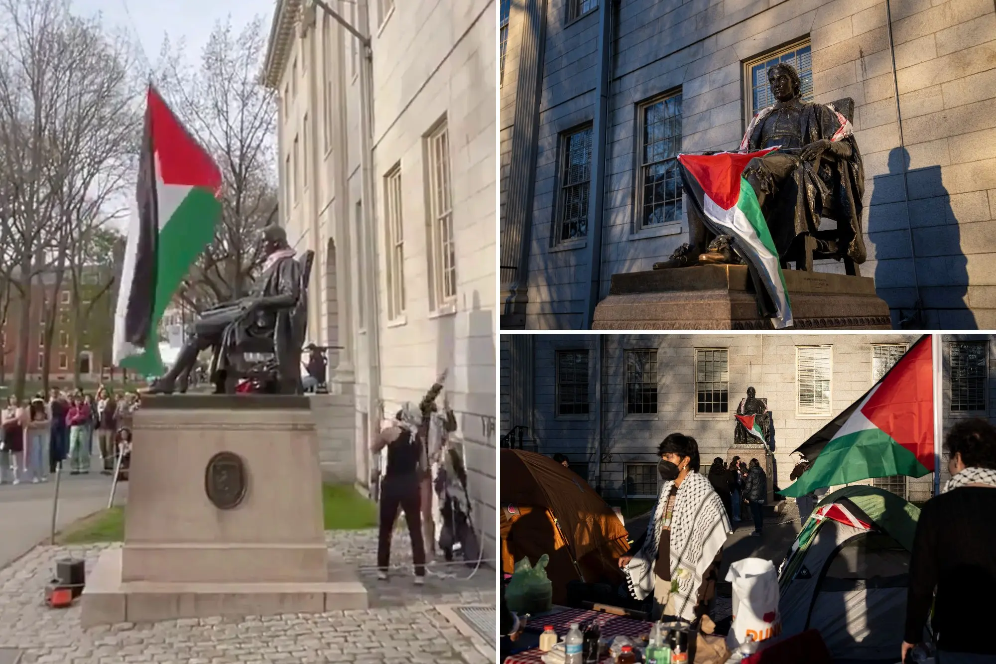 برافراشته شدن پرچم فلسطین در برترین دانشگاه جهان