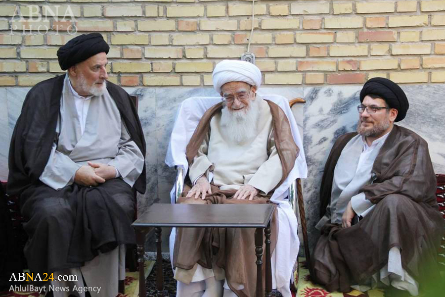 دیدار سید جعفر مرتضی با آیت‌الله صافی گلپایگانی + عکس