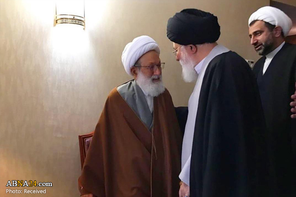 دیدار شیخ عیسی قاسم با آیت الله علم الهدی + عکس