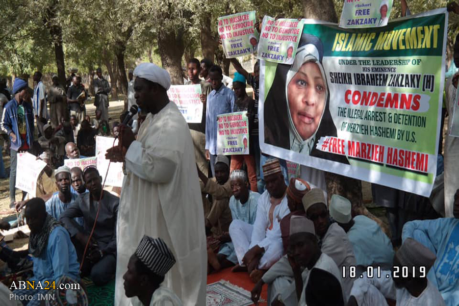 Nigerians rally to condemn Press TV anchor arrest in US / Pics