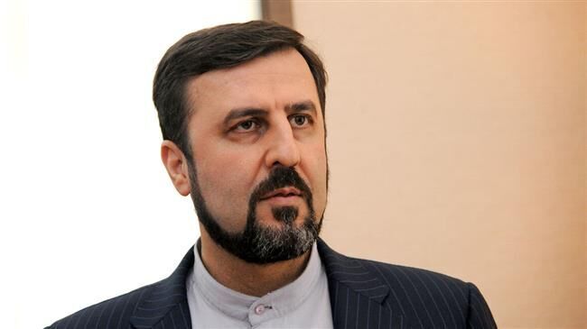 Europe provides terrorists with safe havens: Official